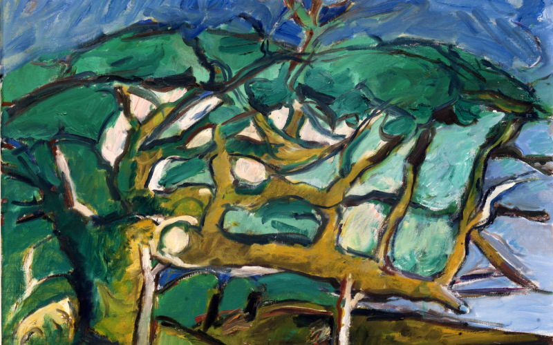 Tree With Supporting Stilts