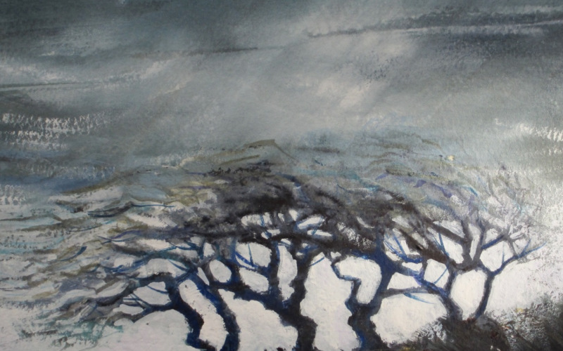Wild Hawthorn III