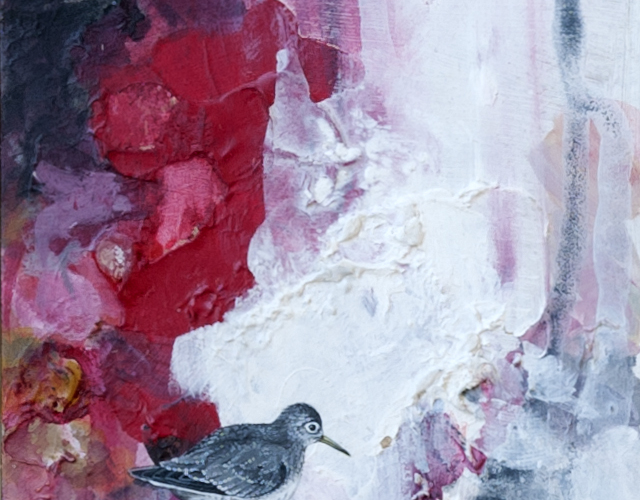 Solitary Sandpiper